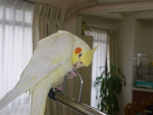 �H�U������I�J���C���R