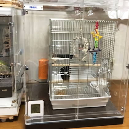 �h�E�o�l�C���R�̒���������ꂽ�A�N�����P�[�X