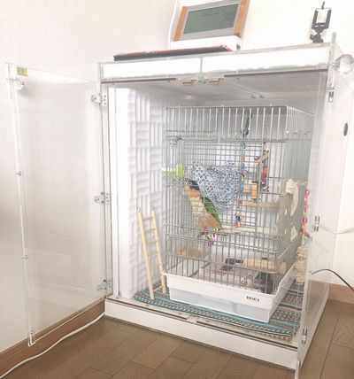 �V���n���C���R�̃A�N�����P�[�X�@�����΍�ɋz����