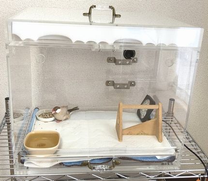 �����̗×{�P�[�X