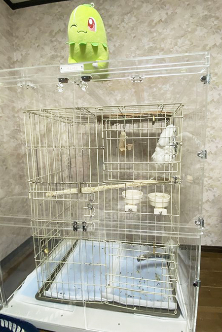 �^�C�n�N�I�E���̑�^�A�N�����P�[�X