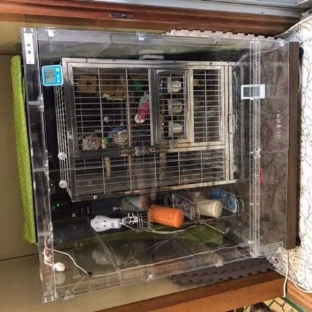 モモイロインコの鳥かごを入れたアクリルケース