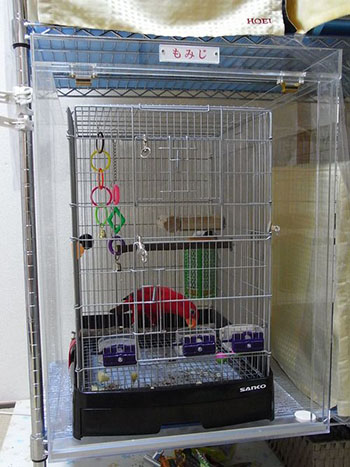 �q�C���R�̒���������ꂽ�A�N�����P�[�X