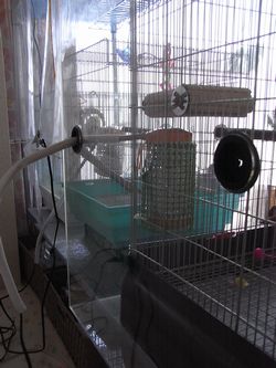 ��C�����ǂ��S��