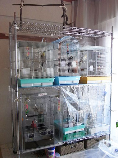 ���b�N�ɕ��Ԓ�����