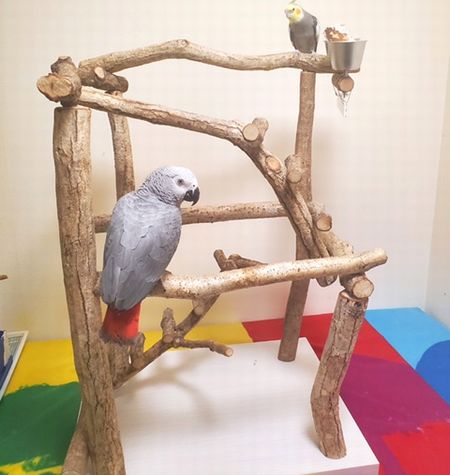 �o�[�h�W���ɏ�郈�E��