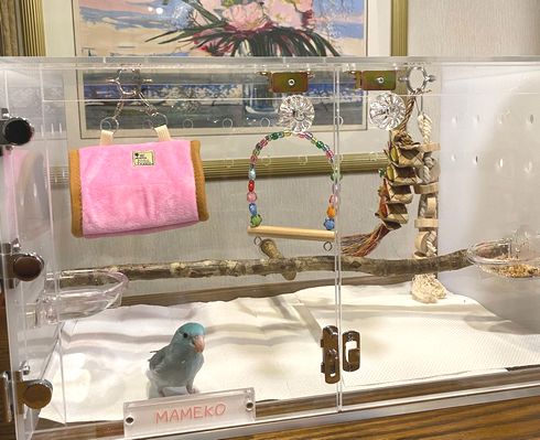 �}�������n�̃A�N�����P�[�X