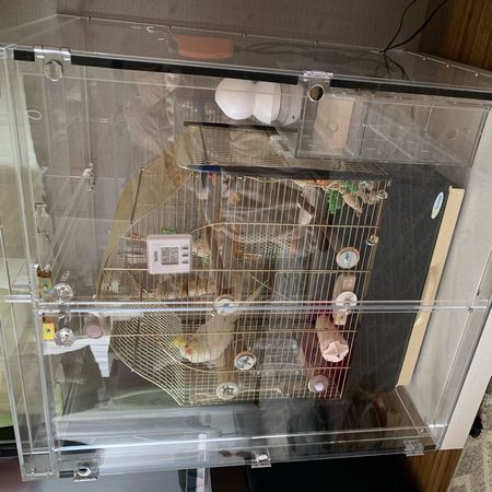 �P�[�W���ɁA�J�����Ƃ������p�i