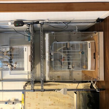 �E���R�C���R�̒���������ꂽ�A�N�����P�[�X