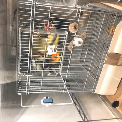 �A�N�����P�[�X�̏���