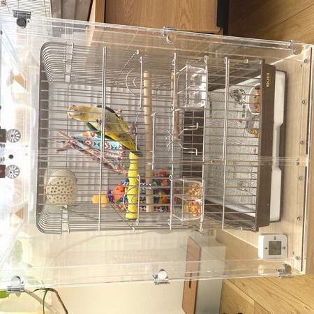 シロハラインコの鳥かごを入れたアクリルケース