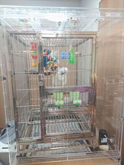 �^�C�n�N�I�E���̒���������ꂽ�A�N�����P�[�X