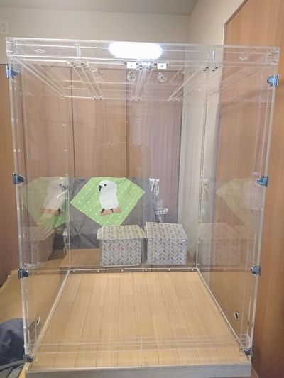 �A�N�����P�[�X��ݒu