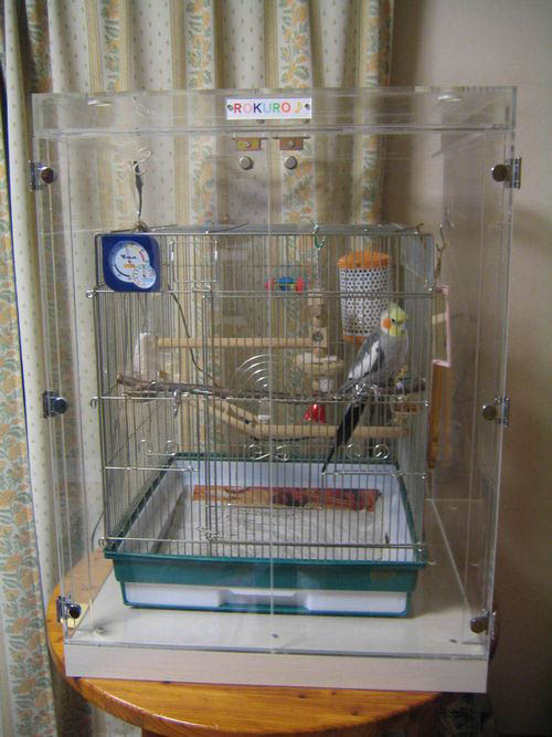 �I�J���C���R�̒���������ꂽ�A�N�����P�[�X