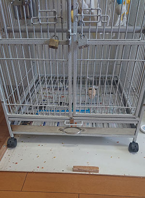 ���Ƃ҂肩�̒�����