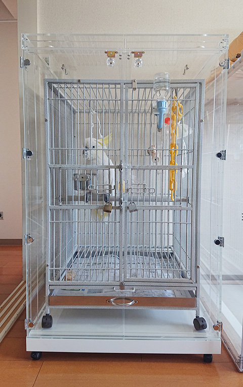 �^�C�n�N�I�E���̒���������ꂽ�A�N�����P�[�X