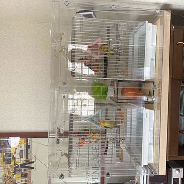 ���Ζʂ̃E���R�C���R2�H