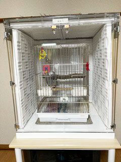 ���E���̃A�N�����P�[�X