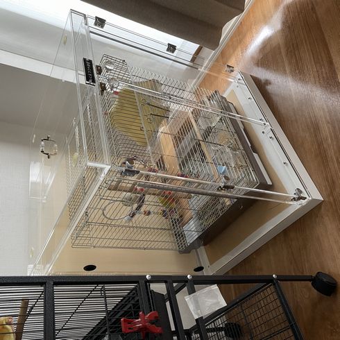 ��������3��