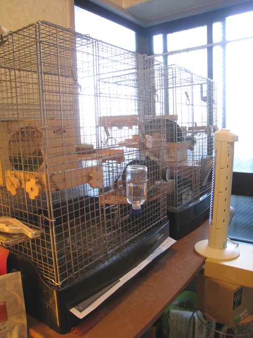 �`���`���̎����