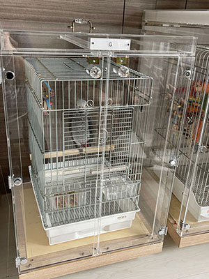 ���E���̒���������ꂽ�A�N�����P�[�X