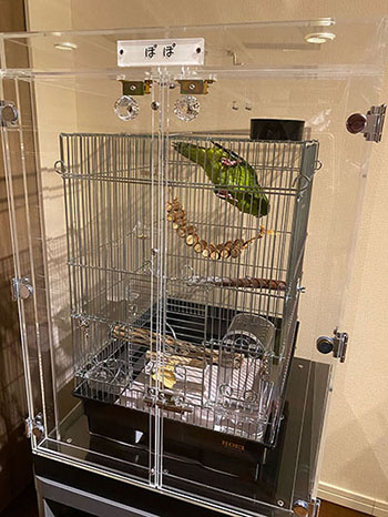 サザナミインコの鳥かごを入れたアクリルケース