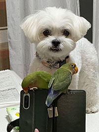 犬とインコ　仲良し