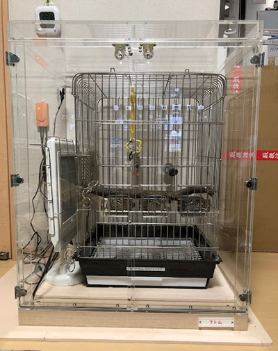 ���E���̒���������ꂽ�A�N�����P�[�X