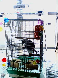 ���E���̒���������ꂽ�A�N�����P�[�X