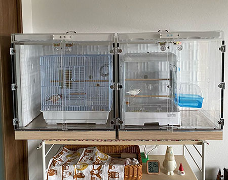 文鳥のアクリルケース2台