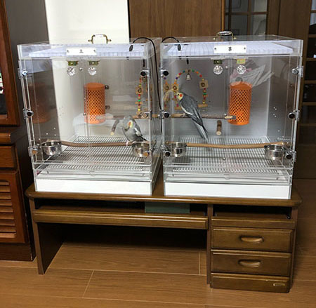 オカメインコのアクリルケース2台