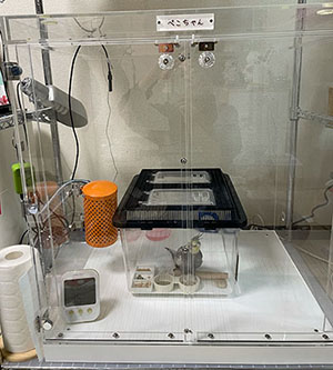 �I�J���C���R�̕ۉ�