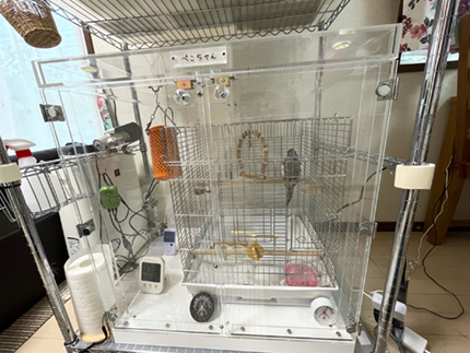 �I�J���C���R�̒���������ꂽ�A�N�����P�[�X