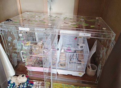 �����̒���������ꂽ�A�N�����P�[�X