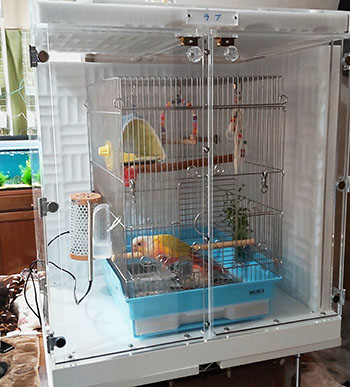 ウロコインコの鳥かごを入れたアクリルケース
