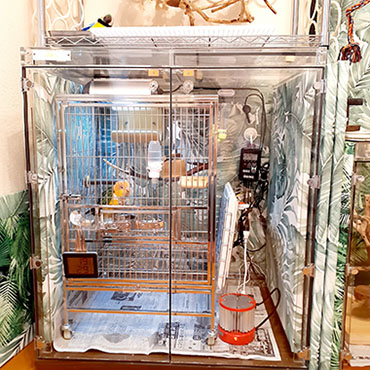 �V���n���C���R�̃A�N�����P�[�X