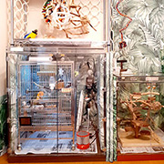 インコの鳴き声対策で吸音ボードを自作