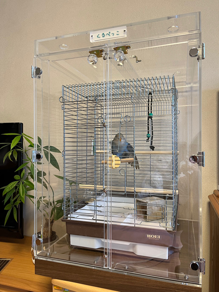 コザクラインコのアクリルケース　アレルギー対策