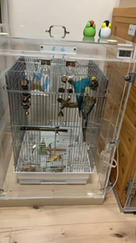 ウロコインコの鳥かごを入れたアクリルケース
