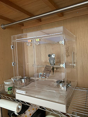 �A�N�����P�[�X�ɓ����Ă����̃I�J���C���R