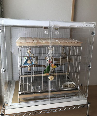 �Y�O���V���n���C���R�̃A�N�����P�[�X