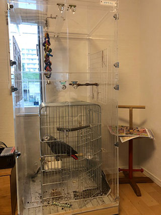 �V�ׂ�X�y�[�X�������^�A�N�����P�[�X