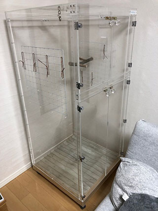 �A�N�����P�[�X�ǖʂɖԂ�ݒu