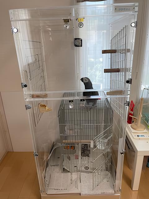 �A�N�����P�[�X���ŗV�ԃ��E��