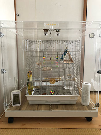 �C���R�̒���������ꂽ�A�N�����P�[�X