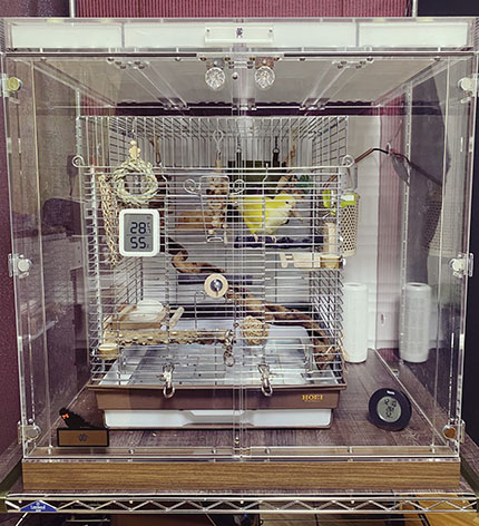 自然いっぱいのアクリルケース