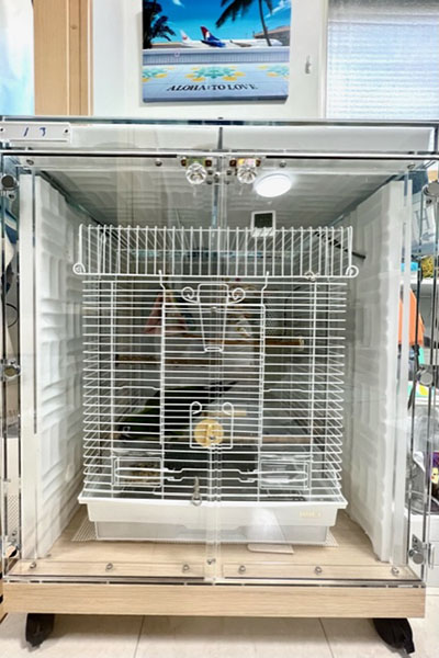 �����΍�̋z����