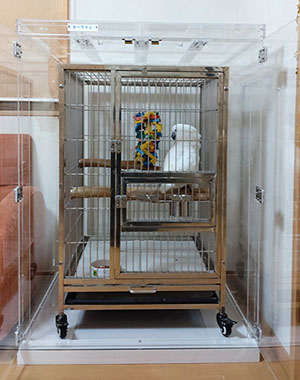 �^�C�n�N�I�E���̖����΍�