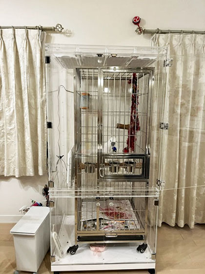 ���Ƃ҂肩SLPC�p�A�N�����P�[�X