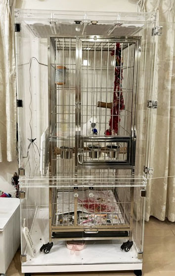 ���Ƃ҂肩SLPC����ꂽ��^�A�N�����P�[�X